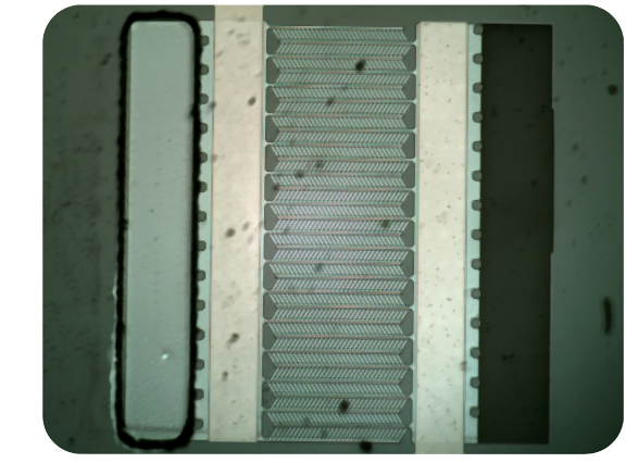 Microfluidic Channel Array
